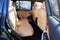 2024 Jeep Grand Cherokee Summit Reserve